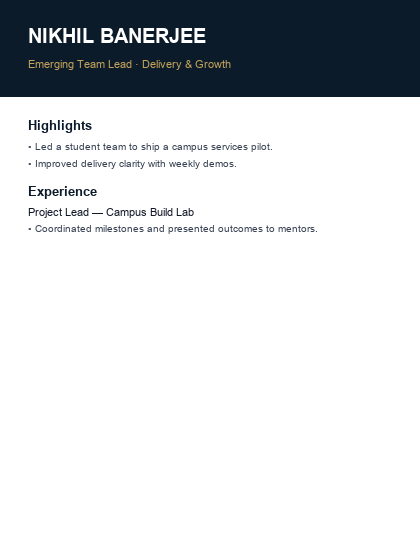 Executive Dark resume template